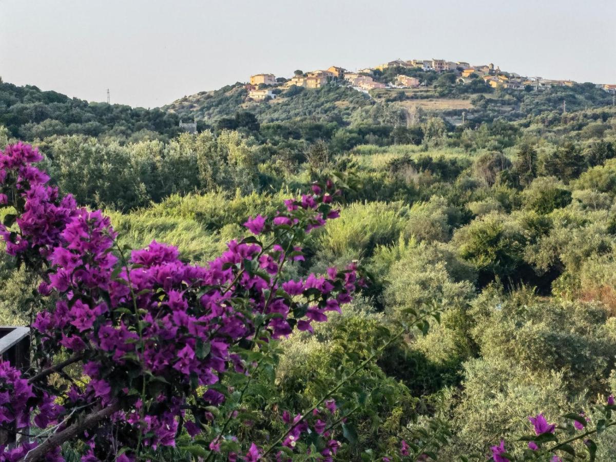 La Corte Degli Ulivi - Albergo Rurale Tresnuraghes ภายนอก รูปภาพ